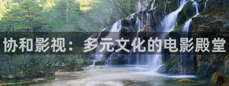 四虎yy影院