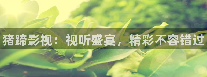yy影院在线观看免费播放电视剧大全网
