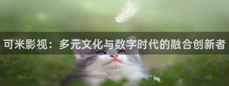 yy影院免费观看电视剧网站