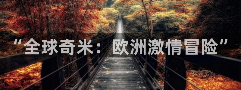 yy影院最新的电影电视剧在线观看